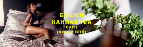 PSILOCYBIN Нефтегорск