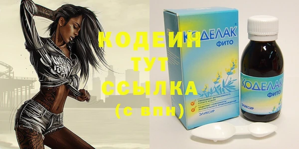 стаф Нея