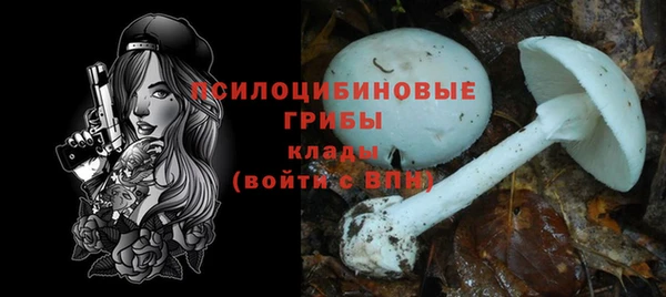 прущие крисы Грязи