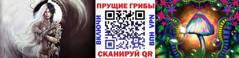 Галлюциногенные грибы ЛСД  Кашин 