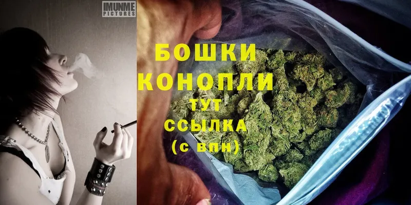 Шишки марихуана Ganja  Кашин 